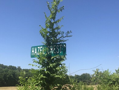 Lot 1 Orchid Dr, Neosho, MO 64850 - photo 2