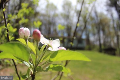 306 Westley Rd, Mohnton, PA 19540 - photo 4