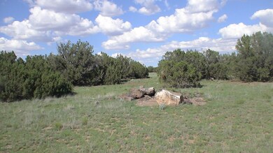 DSC05095