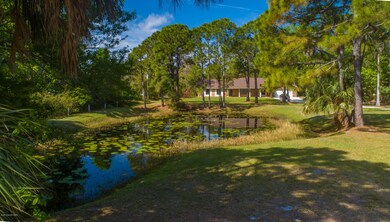 Pond