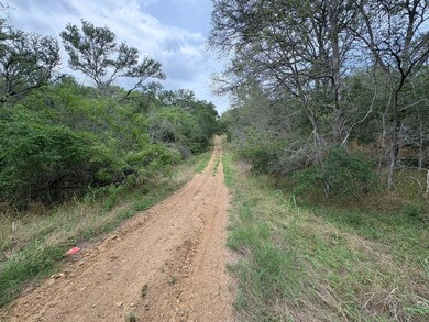 View of dirt / gravel road featuring a view of tr