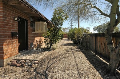 another view of the backyard