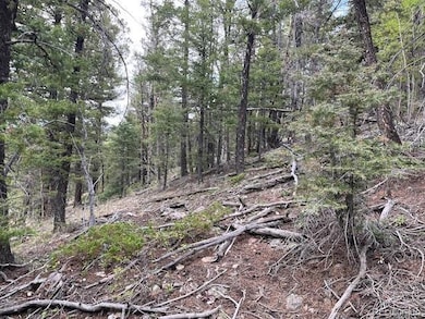 Lot 6184 Ryland Rd, San Pablo, CO 81152 - photo 6