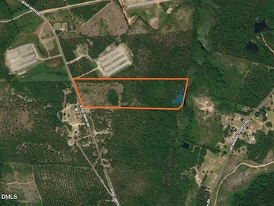 0000 Jesse Smith Rd, Laurel Hill, NC 28351 - photo 2