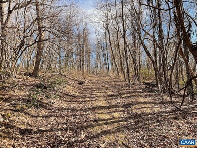 0 Rockledge Rd unit 5 661313, Afton, VA 22920 - photo 2