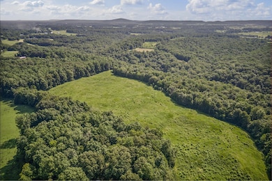 1 Creed Wright Rd, Walling, TN 38587 - photo 5