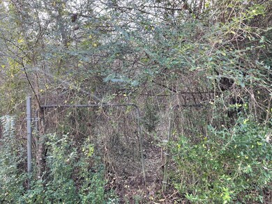 26803 Apache Trail, Magnolia, TX 77354 - photo 4