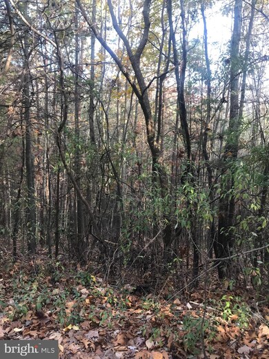 0 Herdman Hill Rd, 3, Marksville, VA 22835 - photo 4