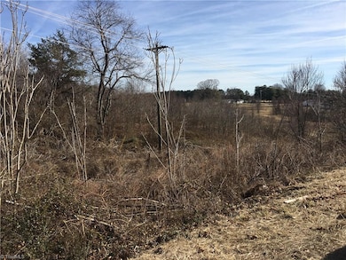 00 George Chandler Rd, Mount Airy, NC 27030 - photo 6