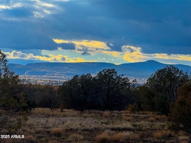 20250617194828188536000000-o