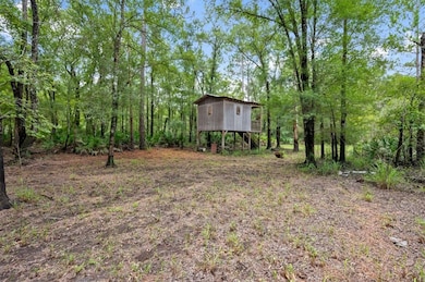 0 Roberson Rd, Hortense, GA 31543 - photo 2