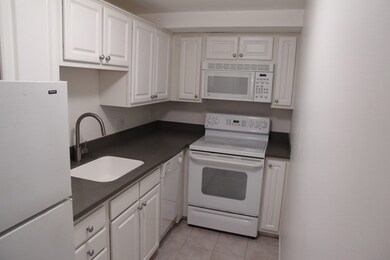 329 Harvard St unit 5, Cambridge, MA 02139 - photo 5