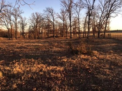 0 Asher Ct unit 1036576, Siloam Springs, AR 72761 - photo 4