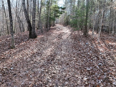 Tract D Carriage Ln, Blairsville, GA 30512 - photo 6