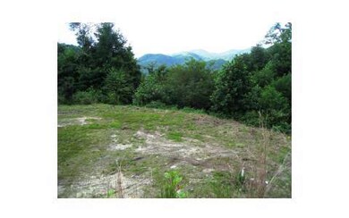 Additional View