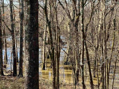 Flooded duck hunting area