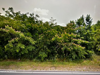 0 S Robeson Rd unit 100542098, Rowland, NC 28383 - photo 2