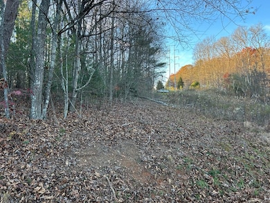 Lot 11 Tombstone Dr, Blairsville, GA 30512 - photo 3