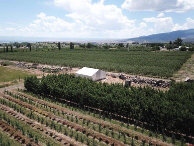 Lot 2 NW Cedar Ave, Cedaredge, CO 81413 - photo 6