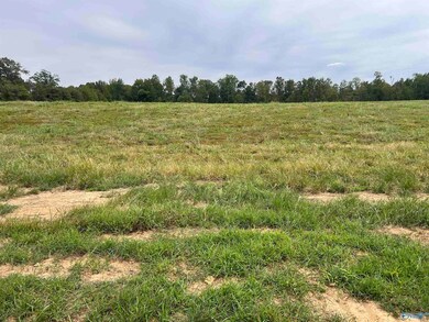 21534 Holland Rd, Athens, AL 35614 - photo 3