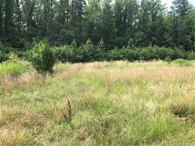 Back of Lot view with forever wooded area.