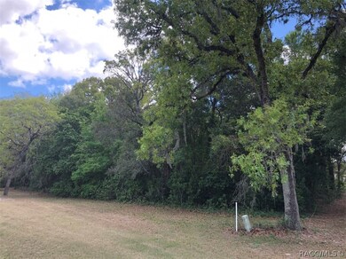 689 E Jenkins Ct, Hernando, FL 34442 - photo 4