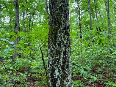 0 Burgess Loop unit 210762, Crossville, TN 38572 - photo 5