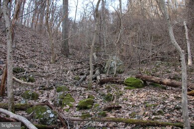 0 Greystone Dr unit VAWR142706, Front Royal, VA 22630 - photo 4