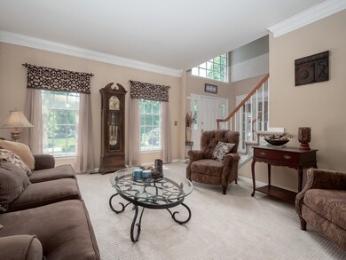 23 Winthrop Dr, Franklin, MA 02038 - photo 7