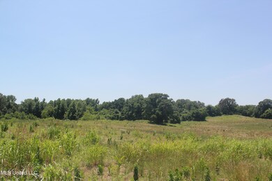 IMG_8441