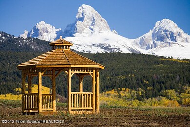 Rogel Photographs 088