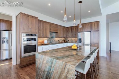 Quartzite Counters and backsplash, soft close cabi
