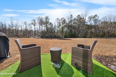 776 Buckeye Rd NE, Leland, NC 28451 - photo 7