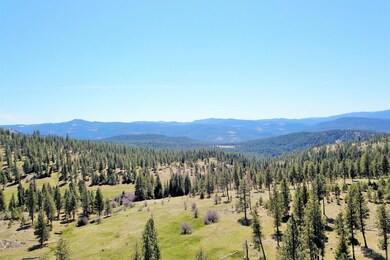 0 Elk Creek Rd unit 201803967, Bates, OR 97817 - photo 6