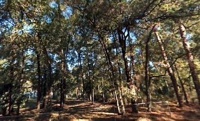 5 SW 2nd Place, Rainbow Park, FL 34481 - photo 3