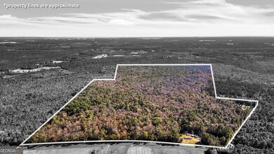 215 Herbert Kessler Rd, Guyton, GA 31312 - photo 4