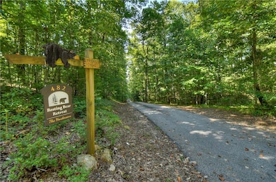 482 N Old Aska Rd, Blue Ridge, GA 30513 - photo 4