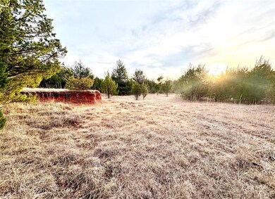 12295 Banner Rd, Slaughtervl, OK 73051 - photo 2