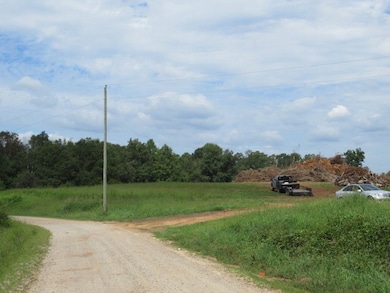 6 Winding Rd, Bowdon, GA 30108 - photo 7