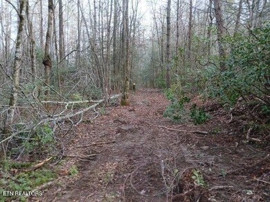 Copperhead Rd pic 5