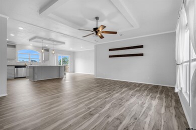 unlisted-address, Alba, TX 75410 - photo 7