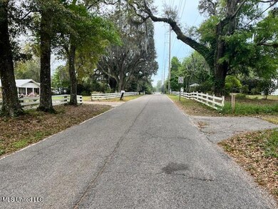 Street View S