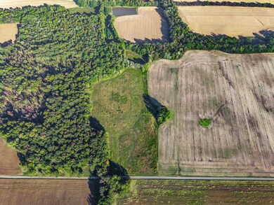 0 W State Line Rd unit RTC3033861, Adams, TN 37010 - photo 3