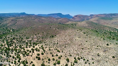 DJI_0131