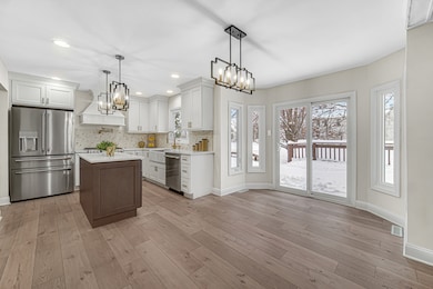 967 W Bauer Rd, Naperville, IL 60563 - photo 4