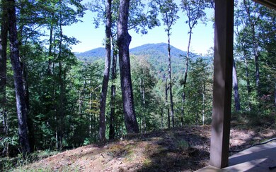 Additional View