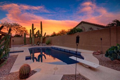Backyard with Huge Saguaros