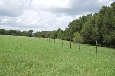 0 St Delight Rd unit 23357568, Paige, TX 78659 - photo 4