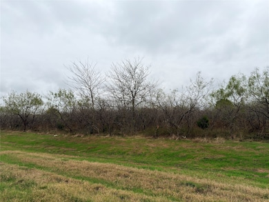 Lot 3-2 Hwy 31 Bypass, Corsicana, TX 75110 - photo 2