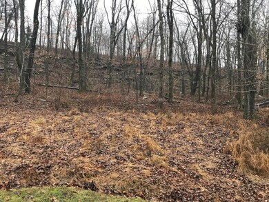 18023 Stout Mountain Rd, Fayetteville, AR 72701 - photo 5